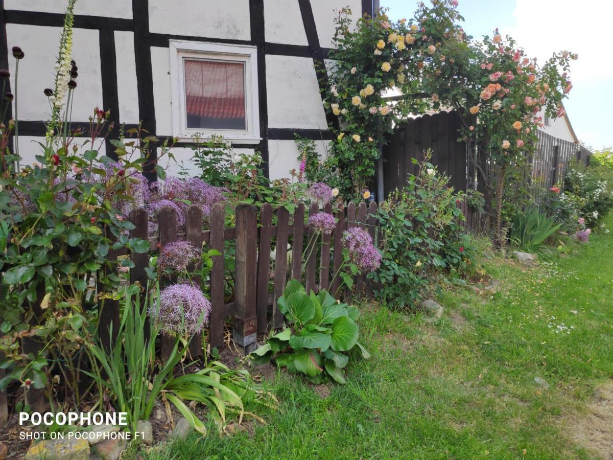 Annabell Apartment Soest